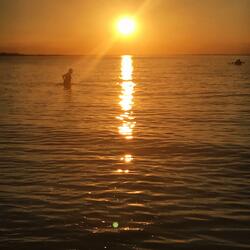 Sunk in the Waves