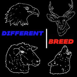 Different Breed