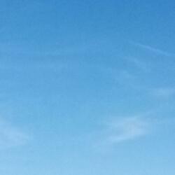 Welcome To Everything