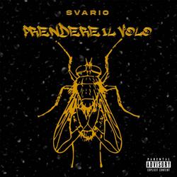 Prendere il volo
