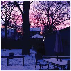 First Place in Competitive Gravedigging