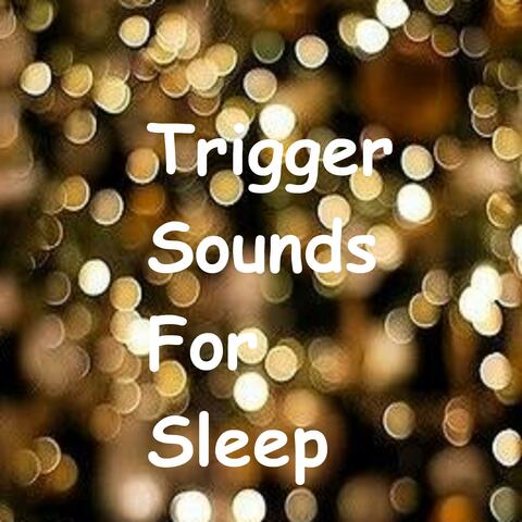 Asmr Trigger Sounds for Sleep Cutting Scratching Typing Rustling