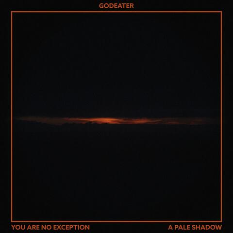 You Are No Exception/A Pale Shadow