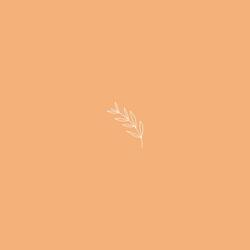 november.