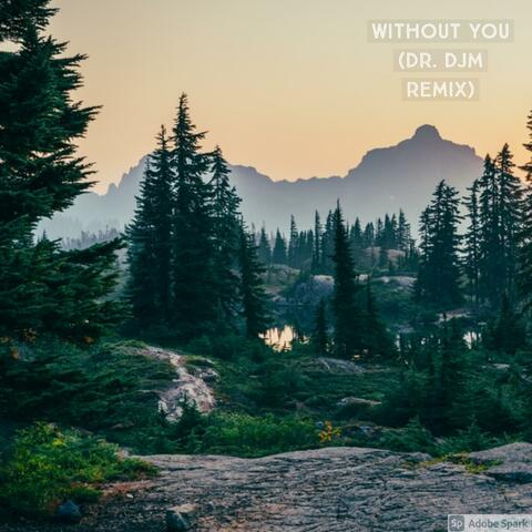 Without You (feat. DR. DJM)