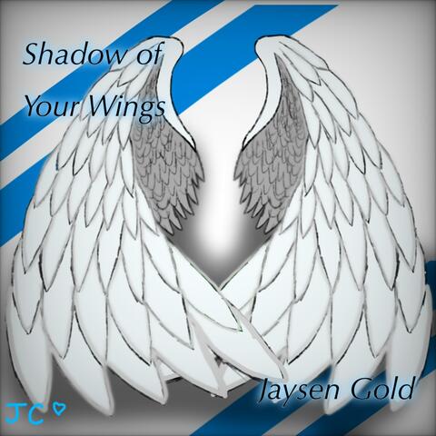 Shadow Of Your Wings