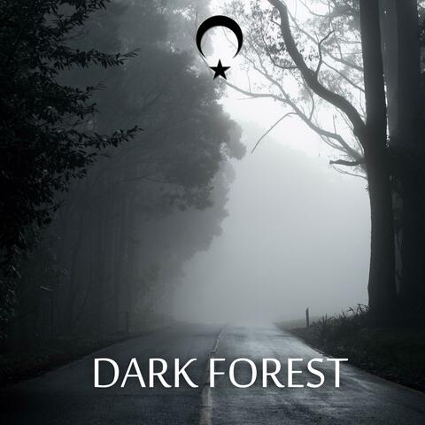 Dark Forest (Dark Trap Beat)