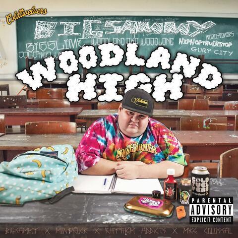 Woodland High