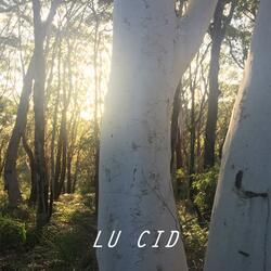 Reflections (Coolgardie Place)