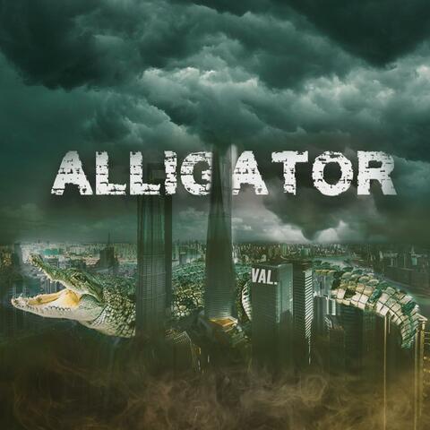 Alligator