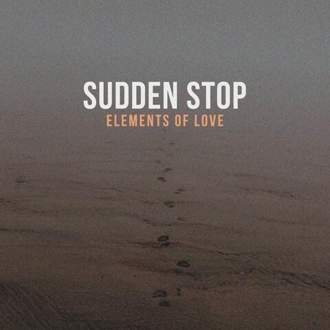 Sudden Stop