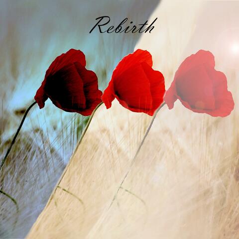 Rebirth