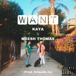 WANT (feat. Kaya)