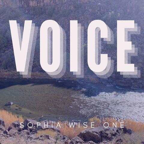 Voice