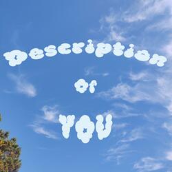 Description of You (feat. Bika)