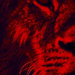 Article part two Beast and Freak