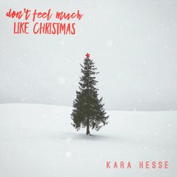 Don't Feel Much Like Christmas