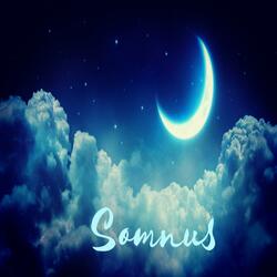 Somnus