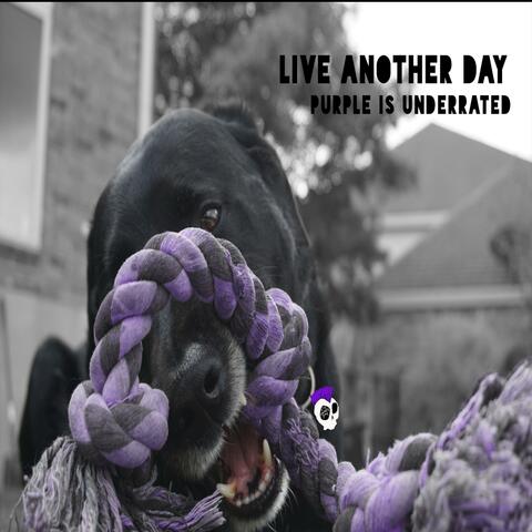Purple Is Underrated