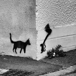 Paranoid (feat. KJ Finesse)