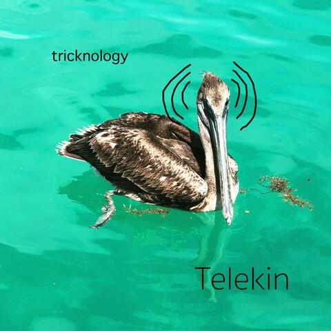 Telekin