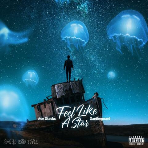 Feel Like A Star (feat. Saetheguard)