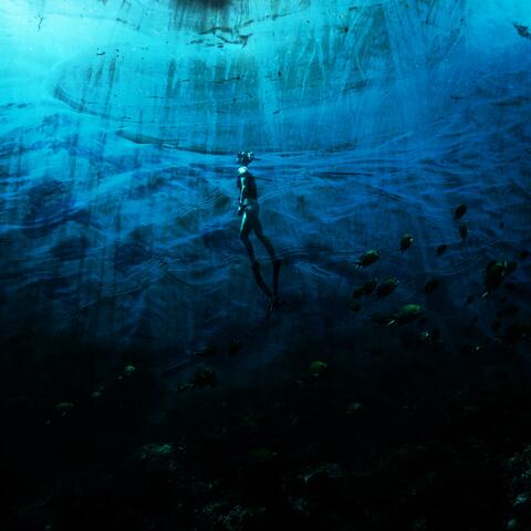 Serenity