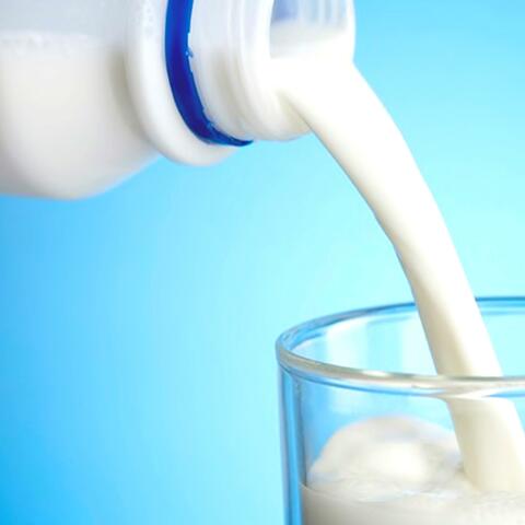 BIG MILK
