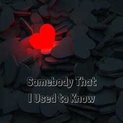 Somebody That I Used to Know (Stripped)
