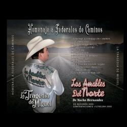 Corrido Del Guero