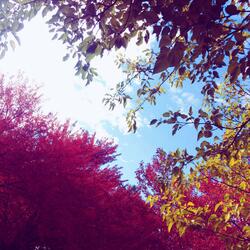 Watching The Stars Fall Apart.