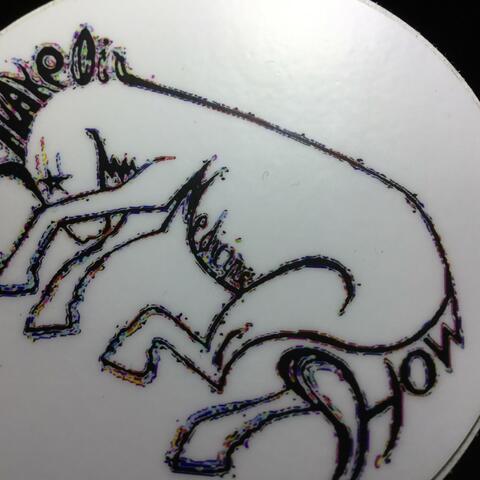 Bluegrasstafari