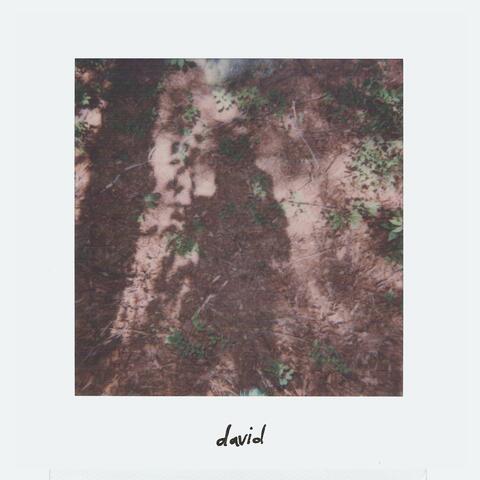 David
