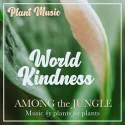 World Kindness (Peace Lily Plant Music)