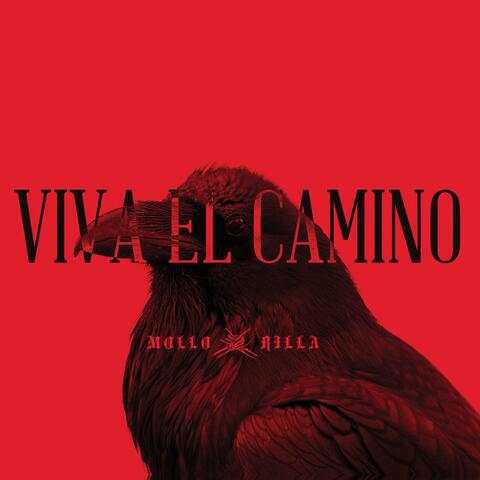 Viva el Camino