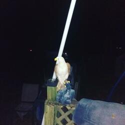 Seas of Time, Seas of Change