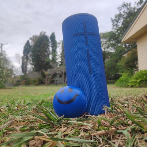 Blue Boy