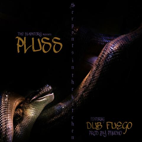 Serpents in the Kitchen (feat. Dub Fuego)