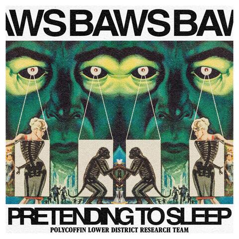 Pretending to Sleep