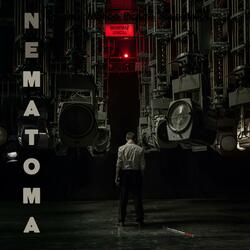 Man's Days Are Similar To Grass