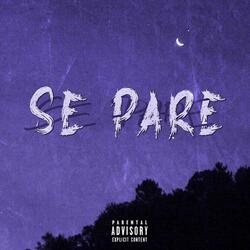 Se Pare (feat. Pol)