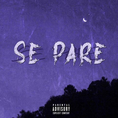 Se Pare (feat. Pol)