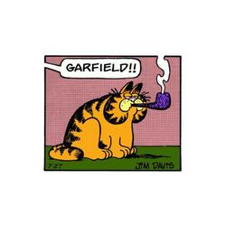 Just Garfield