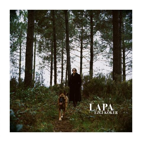 Lapa