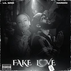 Fake Love (feat. Hardini)
