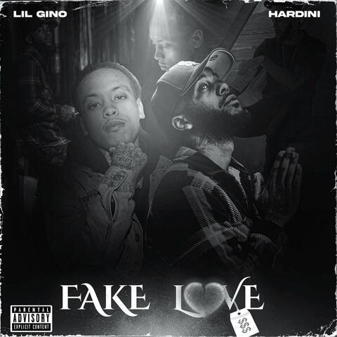 Fake Love (feat. Hardini)