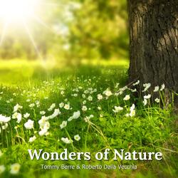 Wonders Of Nature