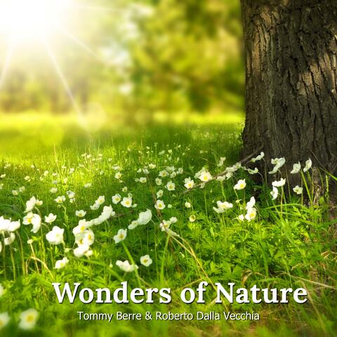 Wonders Of Nature