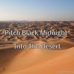 Into The Desert