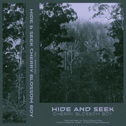 Hide And Seek